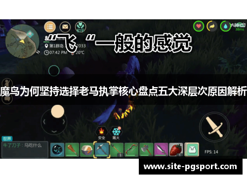 魔鸟为何坚持选择老马执掌核心盘点五大深层次原因解析